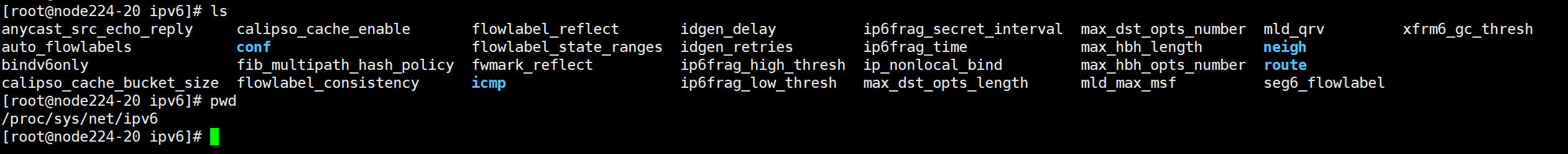 image-20250212205111567